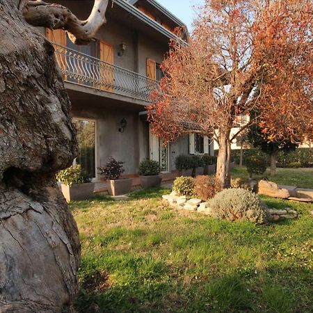 Hotel Magnolia Savignano sul Rubicone Exterior foto