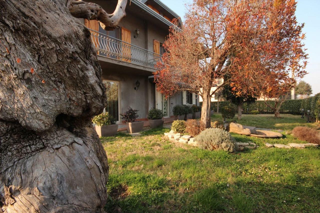 Hotel Magnolia Savignano sul Rubicone Exterior foto